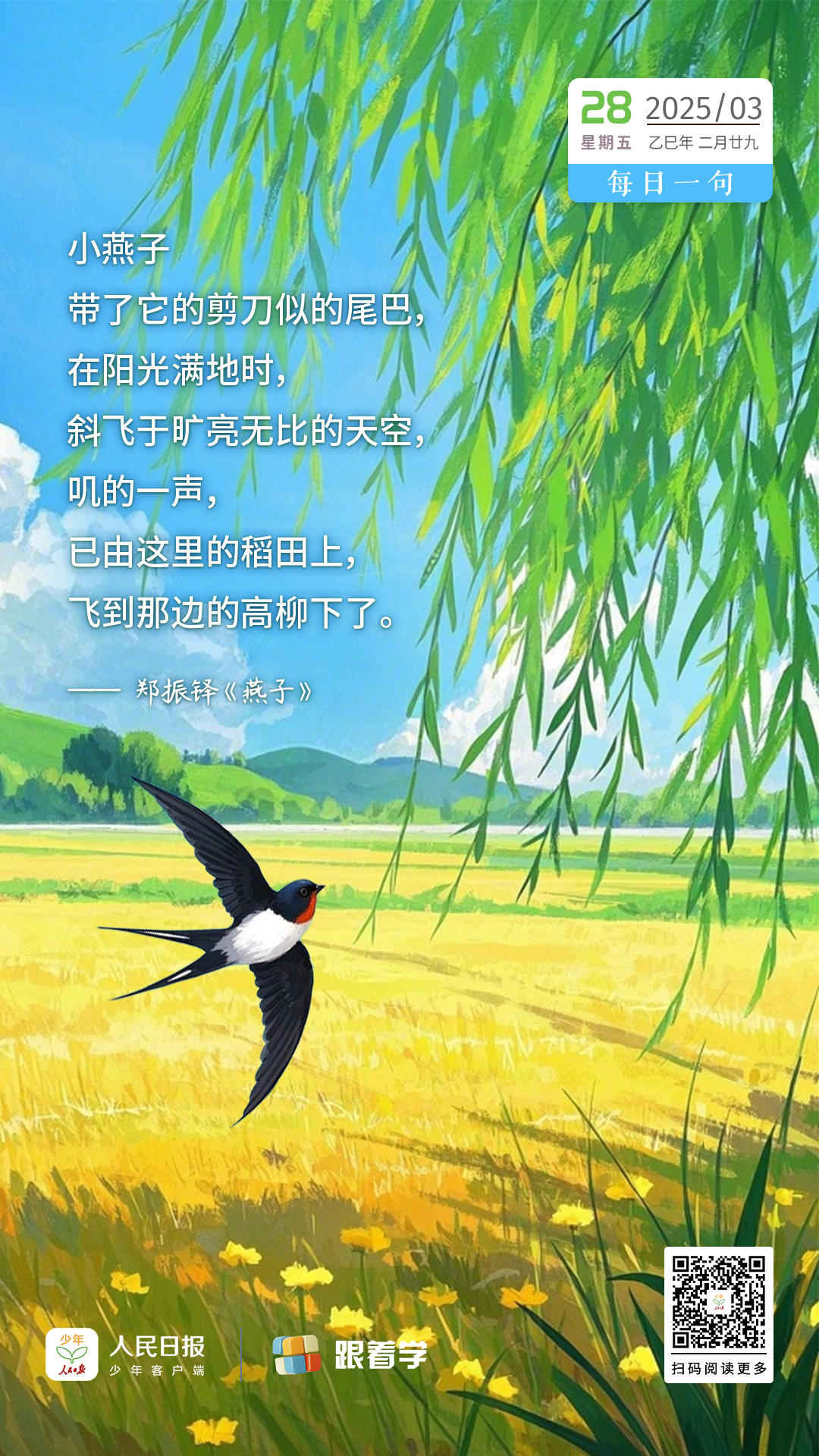 （部分画面由AI工具调试生成）